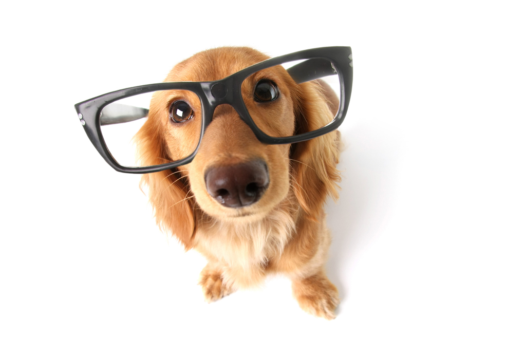 2026年もよろしくお願いいたします！