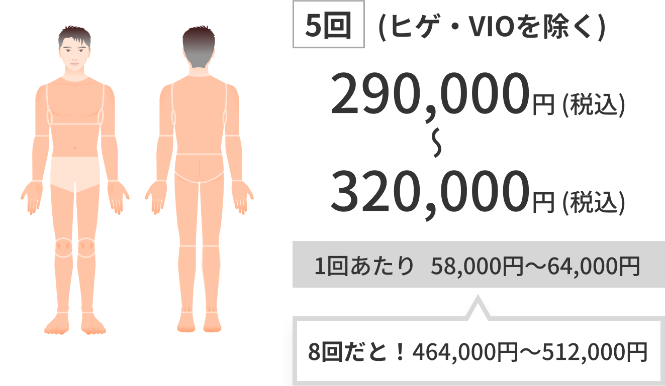 5回(ヒゲ・VIOを除く) 290,000~320,000円（税込）