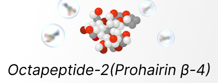 オクタペプチド-2 （Prohairin β4）